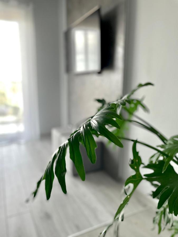 Ach, To Tu- Apartament Łańcut Eksteriør bilde
